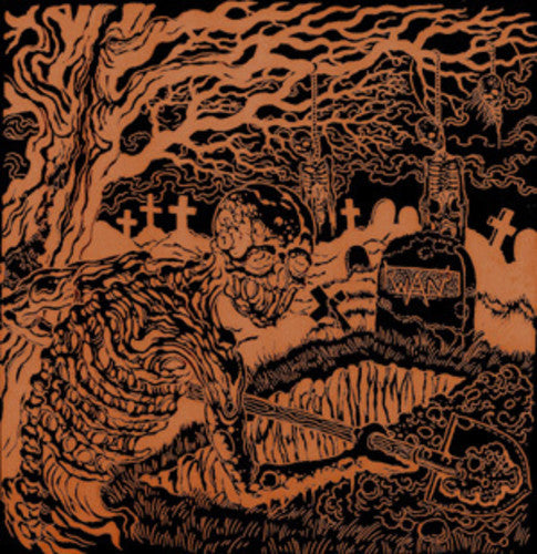 the album cover for Wan - Dig Up The Past