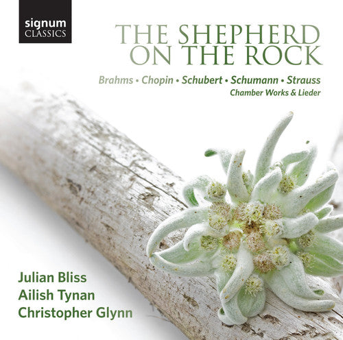 the album cover for JULIAN BLISS - Shepherd on the Rock - Works By Brahms Chopin