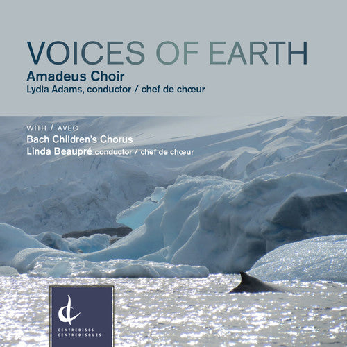 the album cover for Daley / Amadeus Choir / Schotzko - Voices of Earth