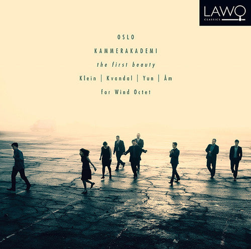 the album cover for Oslo Kammerakademi - The First Beauty