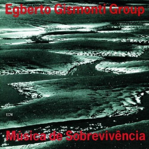 the album cover for Gismonti/Vasconcelos - Musica de Sobrevivencia