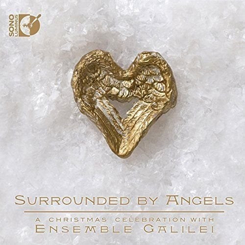 the album cover for Coleman / Gruber / Ensemble Galilei - Surrounded by Angels
