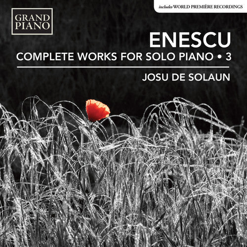 the album cover for Enescu / De Solaun - Enescu: Complete Piano Music 3