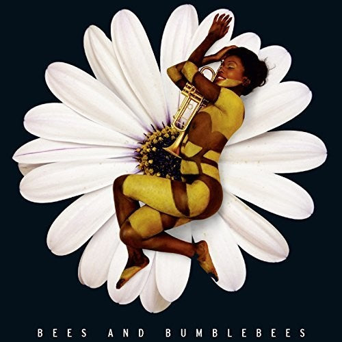 the album cover for Fiorini Quartet / Houben / Various - Bees & Bumblebees