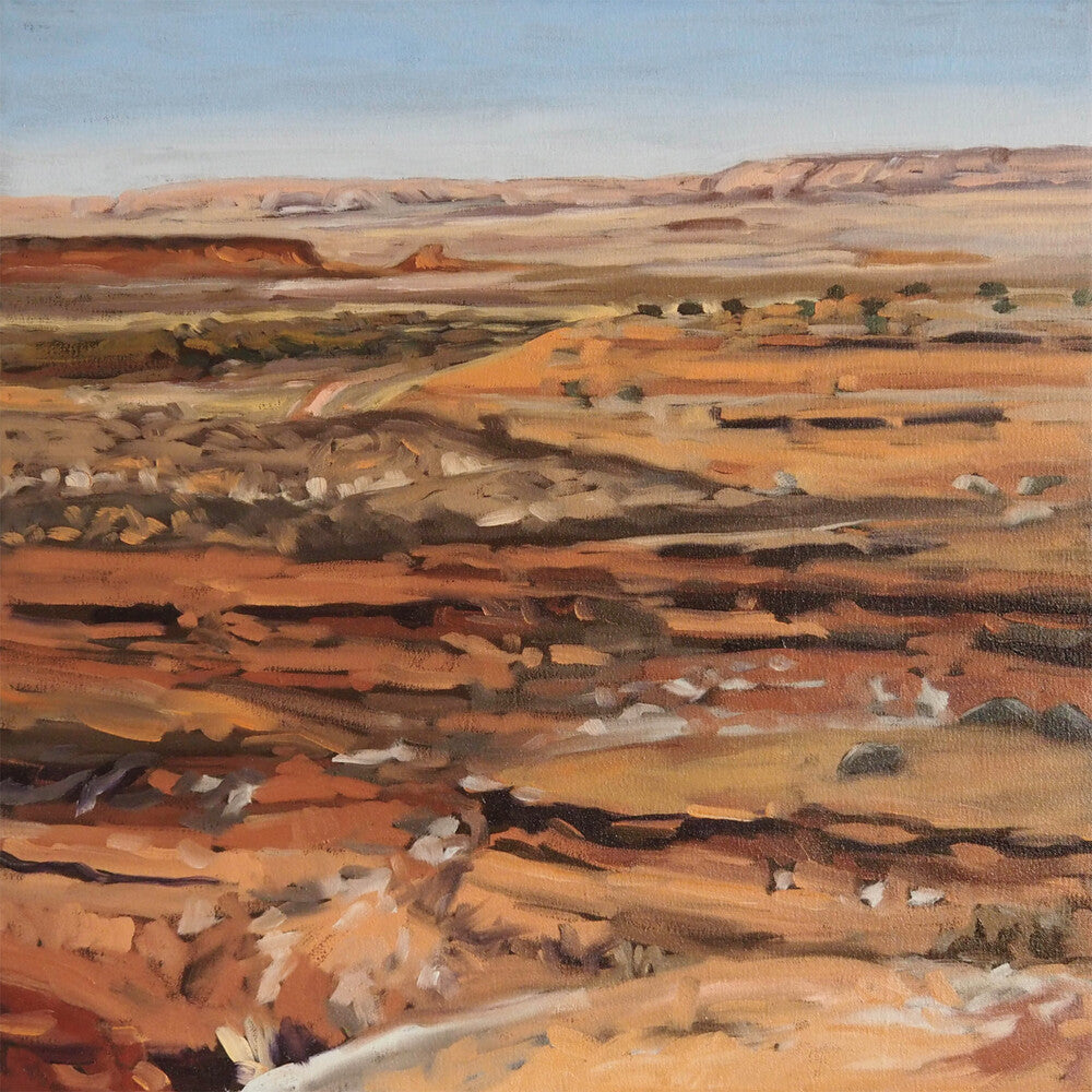 the album cover for Possum Moods - Northern Times