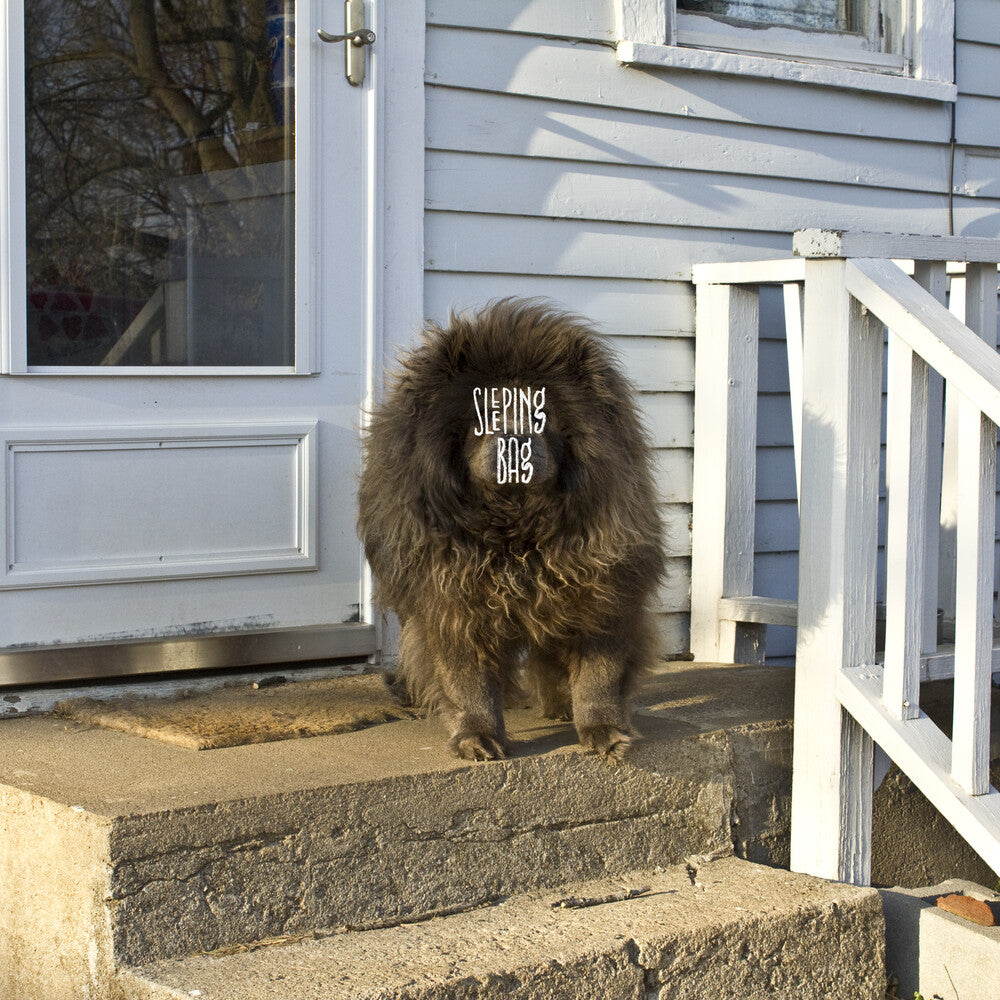 the album cover for Sleeping Bag - Sleeping Bag