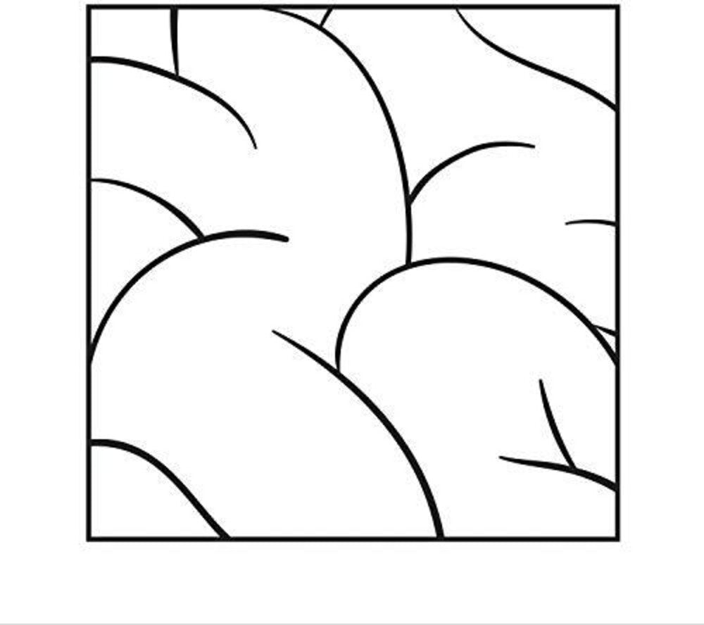 the album cover for Intellexual - Intellexual