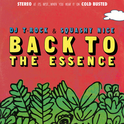 the album cover for Dj T - Rock & Squashy Nice / Back to The Essence