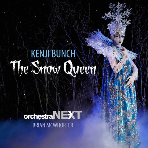 the album cover for Brian McWhorter - Snow Queen