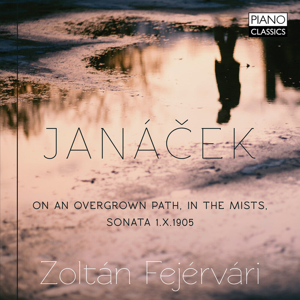 the album cover for Janacek / Fejervari - On An Overgrown Path