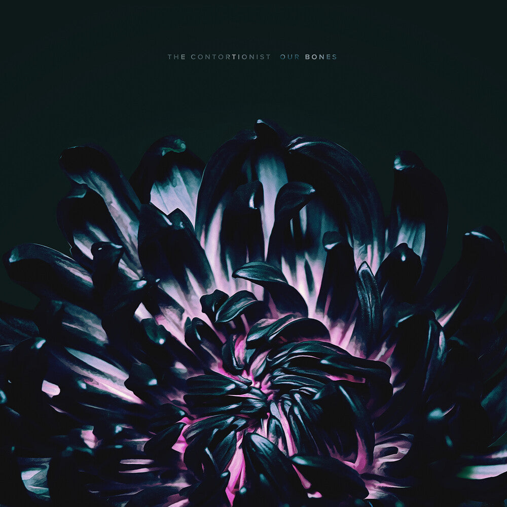 the album cover for The Contortionist - Our Bones