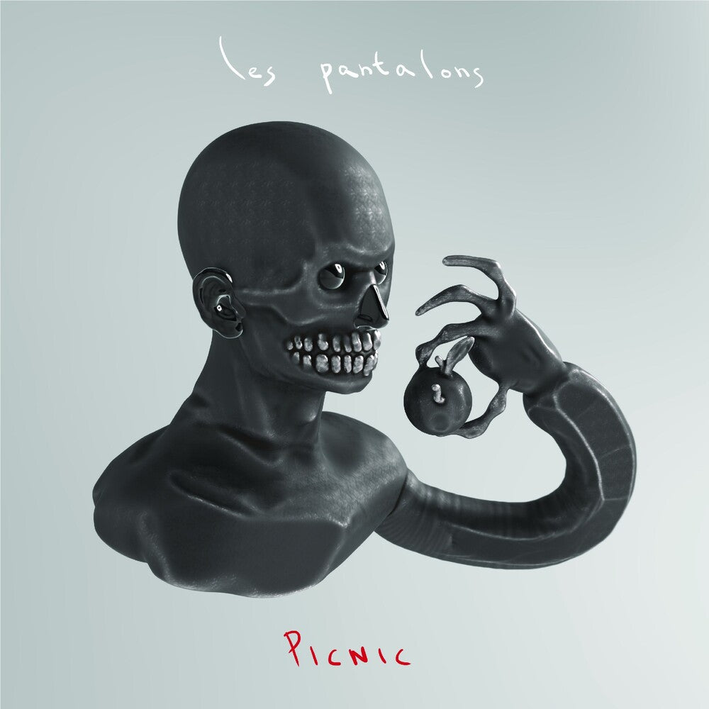 the album cover for Les Pantalons - Picnic