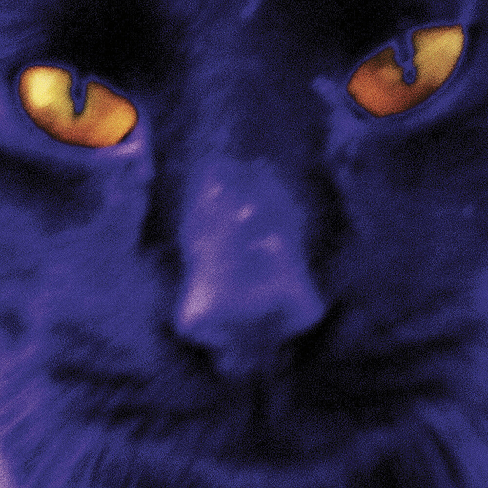 the album cover for David Kilgour and the Heavy Eights - Bobbie's A Girl