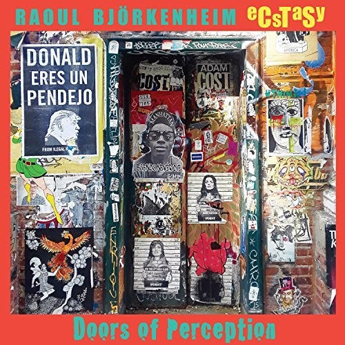 the album cover for Raoul Bjorkenheim & Ecstasy - Doors Of Perception