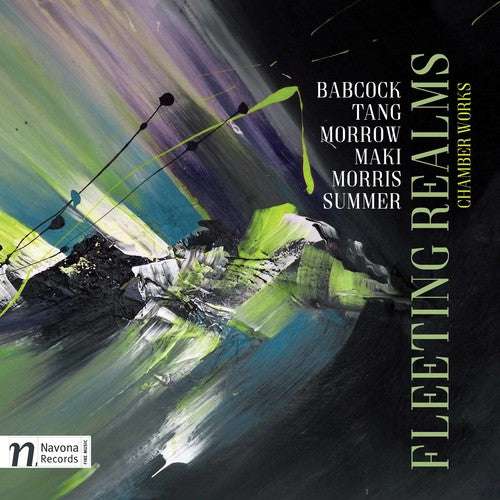 the album cover for Babcock / Masek / Fry - Fleeting Realms