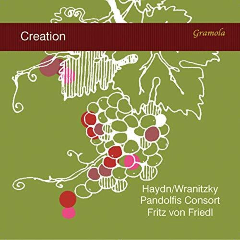 the album cover for Haydn / Pandolfis Consort / Friedl - Creation