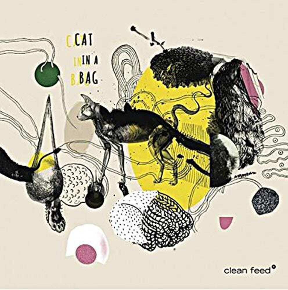 the album cover for Cat In A Bag - Cat In A Bag