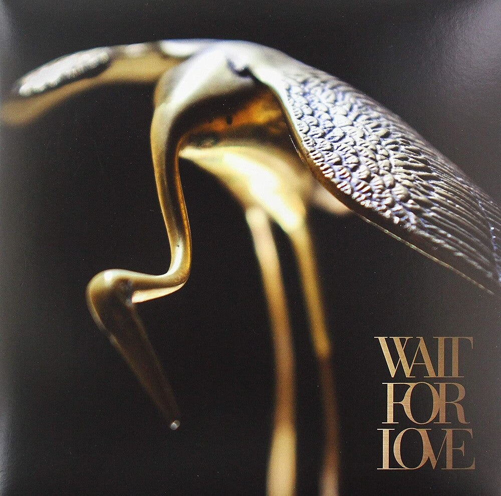 the album cover for Pianos Become The Teeth - Wait For Love