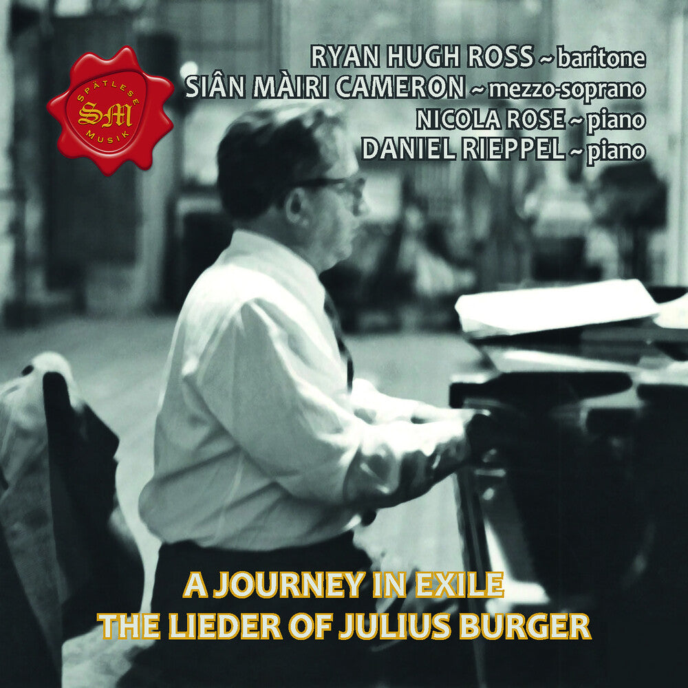 the album cover for Burger / Ross / Rieppel - Journey in Exile