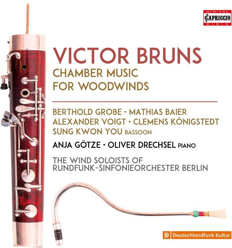 the album cover for Bruns / Baier - Chamber Music for Woodwinds