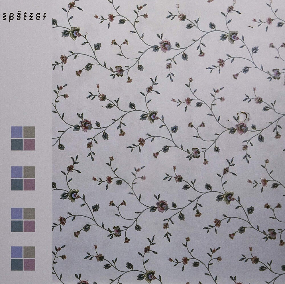 the album cover for Spatzer - Derive