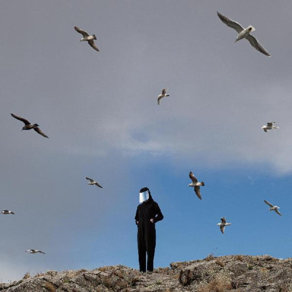 the album cover for Hamerkop - Remote