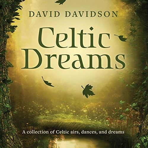 the album cover for David Davidson - Celtic Dreams
