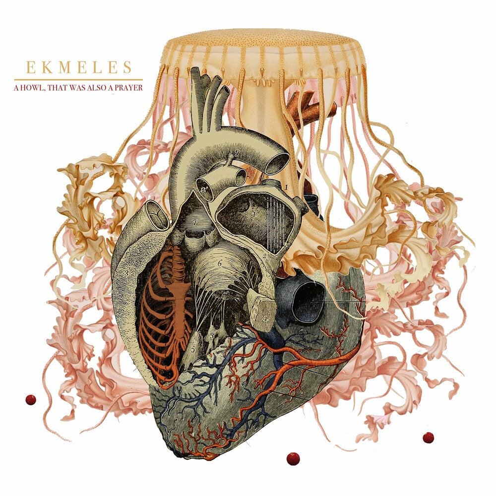 the album cover for Brook / Ekmeles - Howl That Was Also a Prayer
