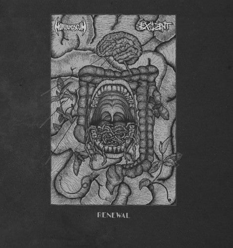 the album cover for Exileny / Moribund Scum - Renewal (Split)