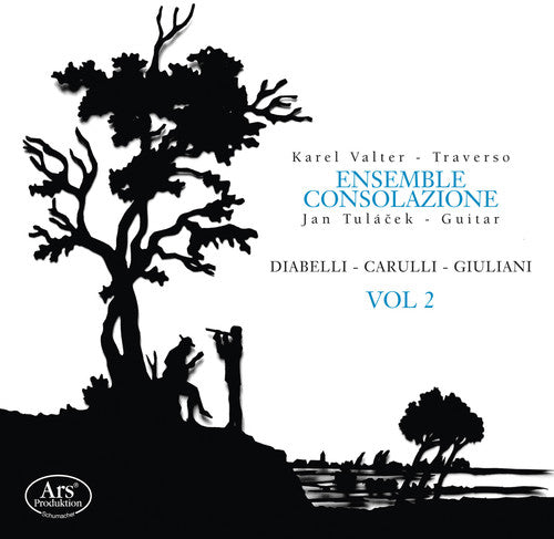 the album cover for Carulli / Ensemble Consolazione - Diabelli / Carulli / Giuliani