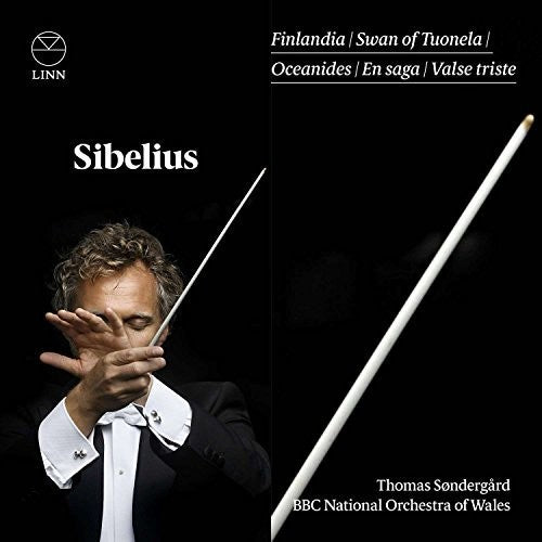 the album cover for Sibelius / Bbc National Orchestra Of Wales - Finlandia