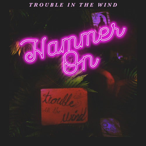 the album cover for Trouble in the Wind - Hammer On