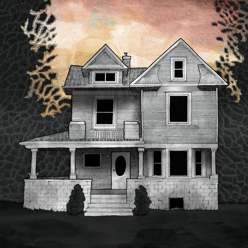 the album cover for Alison Chesley / Albini,Steve / Midyett,Tim - Girl on the Third Floor (Music From the Film)