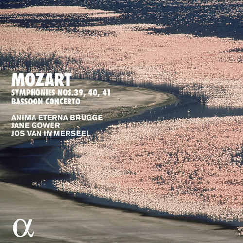the album cover for Mozart / Brugge - Bassoon Concerto