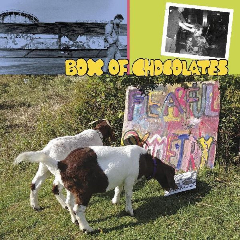 the album cover for Box of Chocolates - Fearful Symmetry