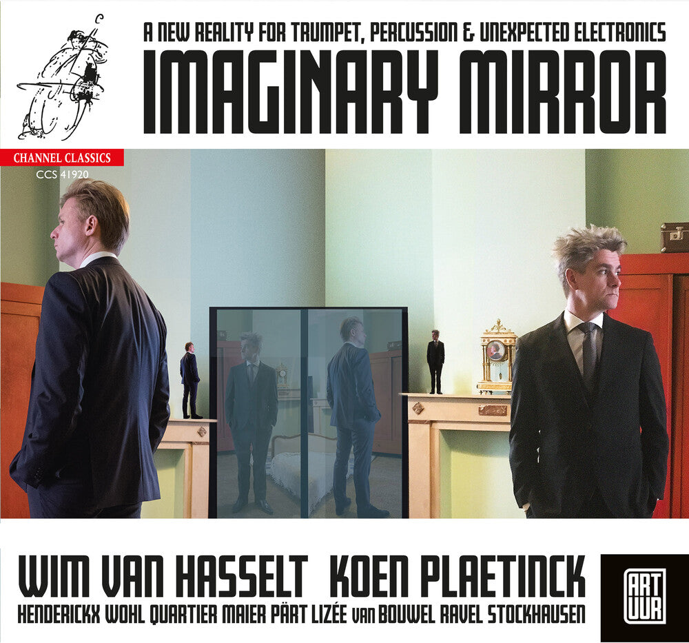 the album cover for Van Wim Hasselt / Plaetinck,Koen - Imaginary Mirror