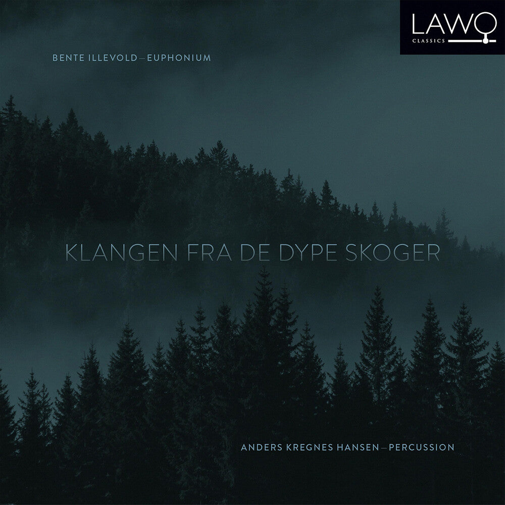 the album cover for Rebne / Illevold / Hansen - Klangen Fra de Dype Skoger
