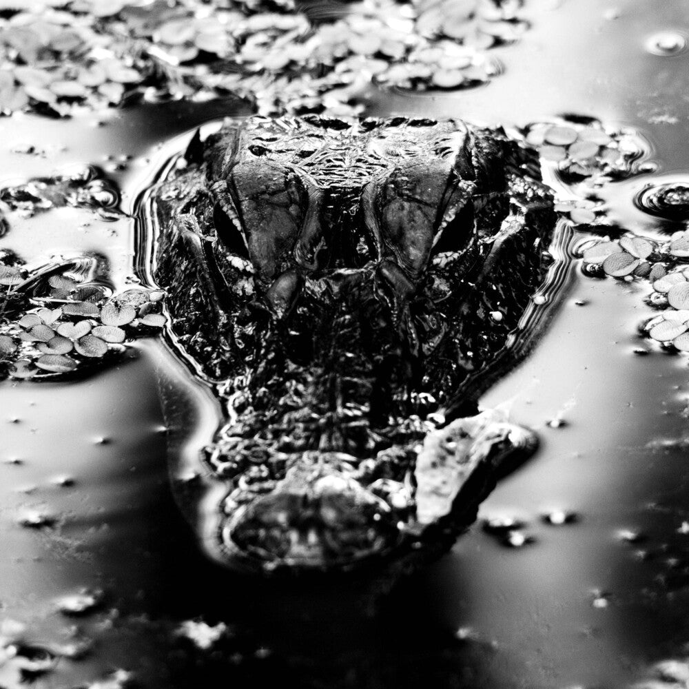 the album cover for Many Blessings - Emanation Body