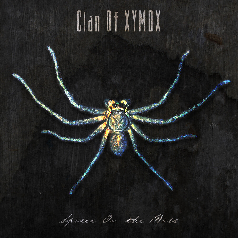 the album cover for Clan Of Xymox - Spider On The Wall
