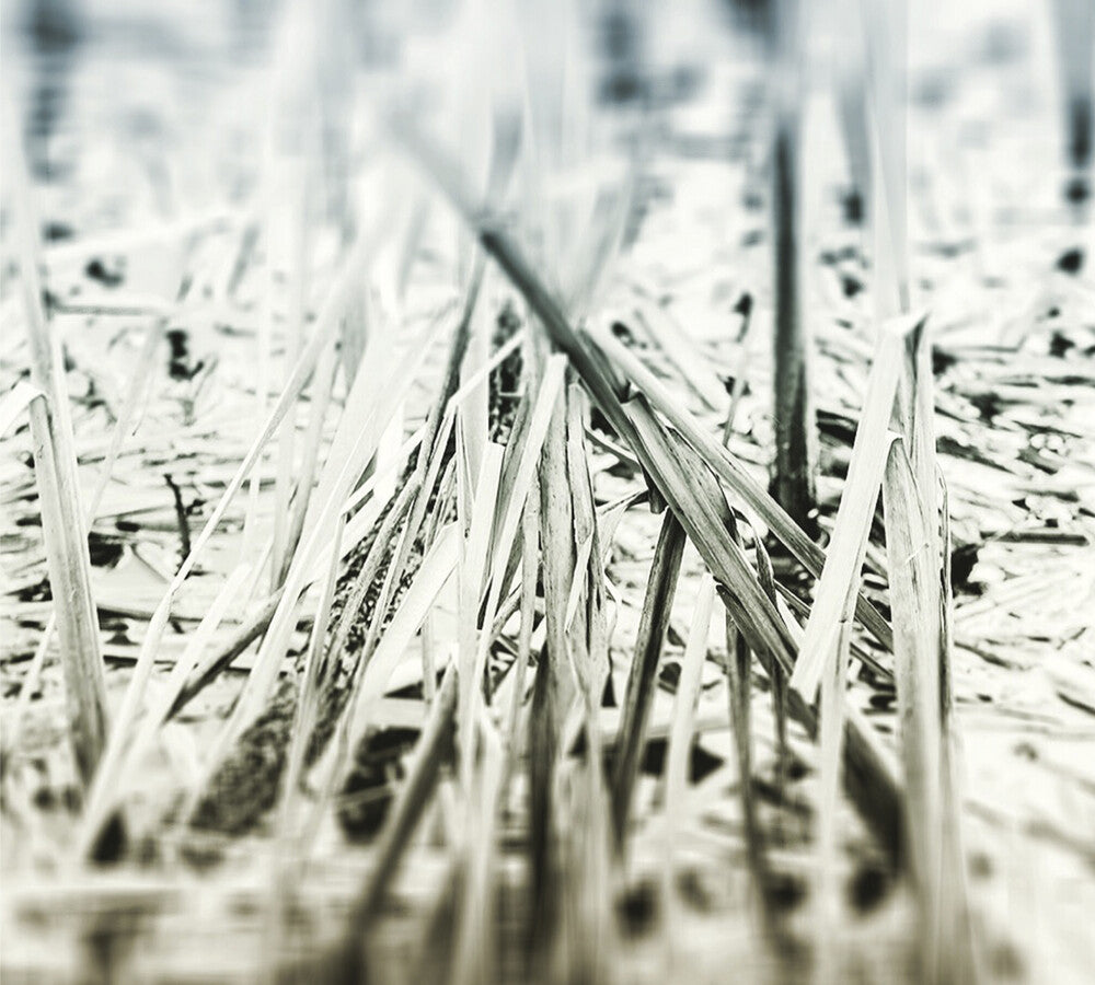 the album cover for Scanner - An Ascent