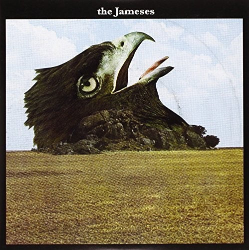 the album cover for Unknown Artist - Caribou