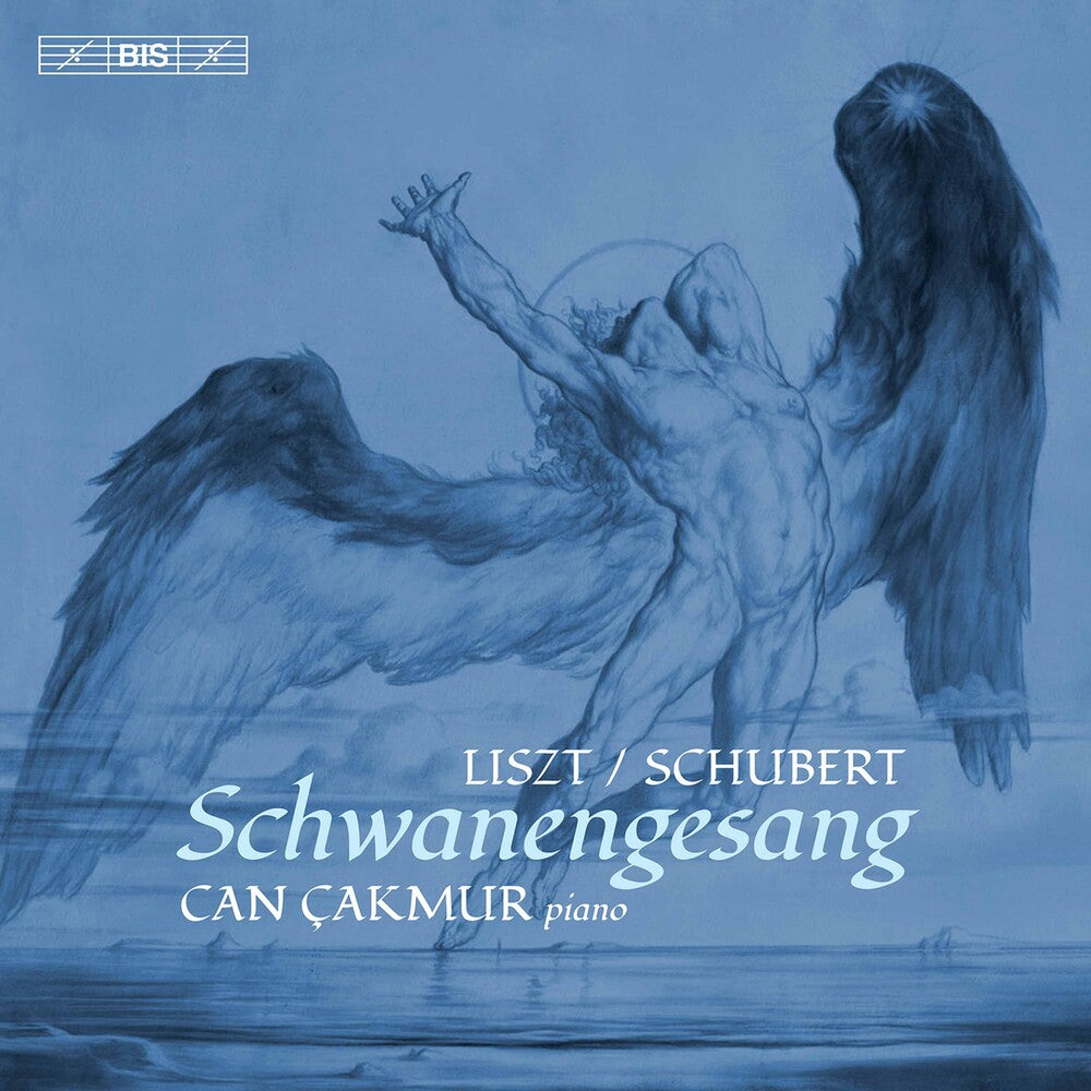 the album cover for Liszt / Cakmur - Schwanengesang