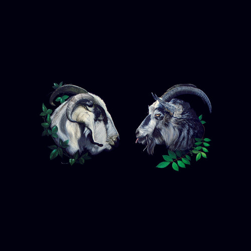 the album cover for DBUK - Songs Nine Through Sixteen