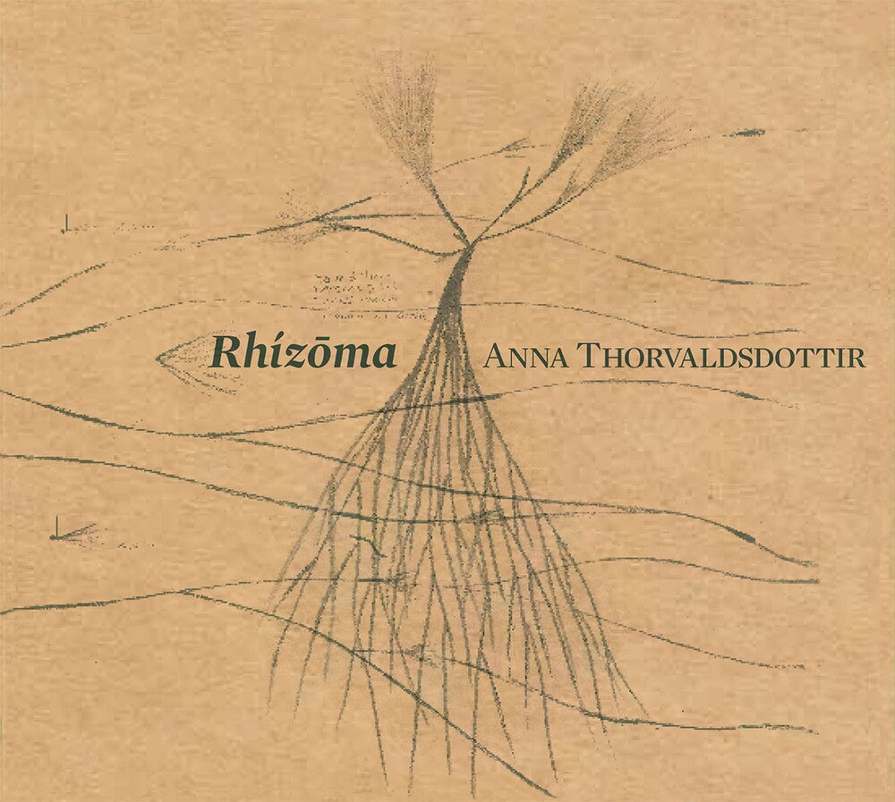 the album cover for Thorvaldsdottir / Caput Ensemble / Bjarnason - Rhizoma