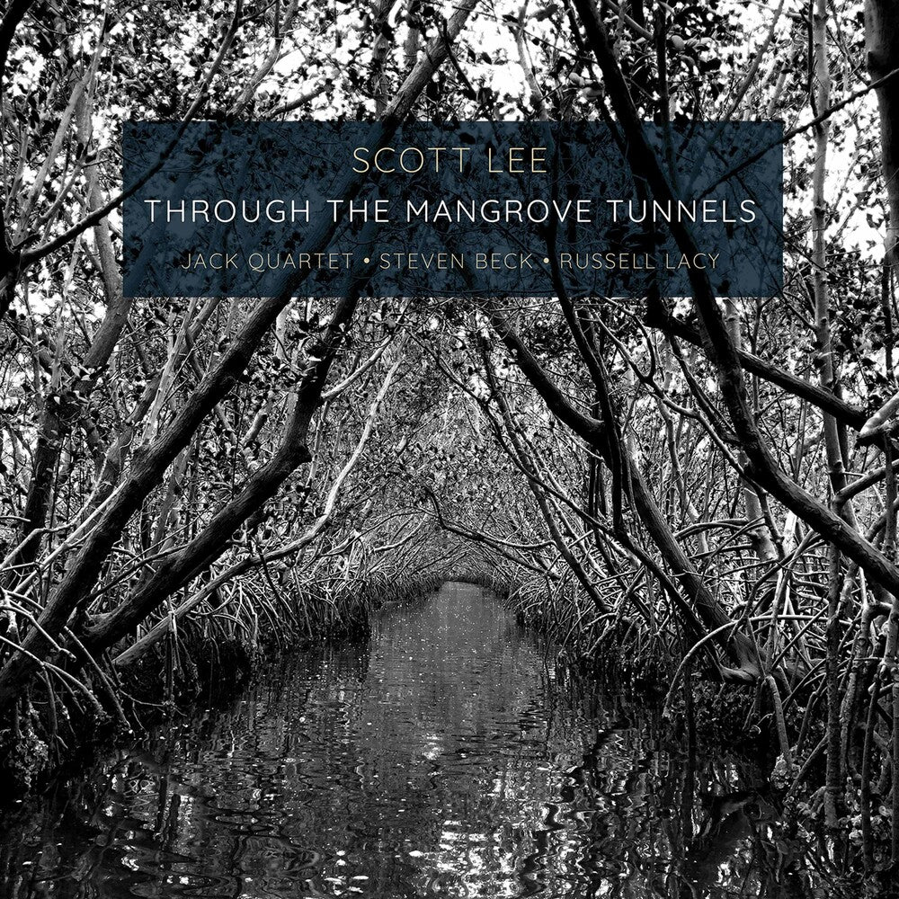 the album cover for Lee - Through the Mangrove Tunnels