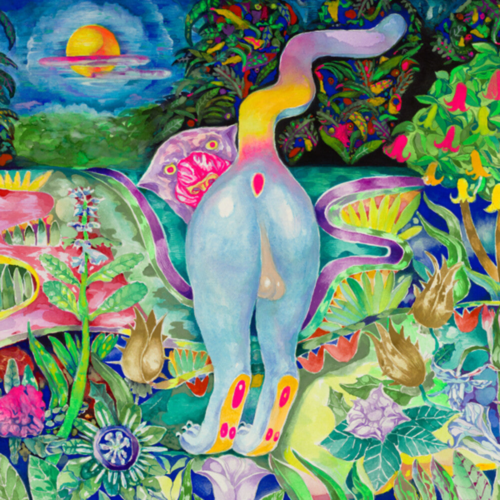 the album cover for Osees - Panther Rotate