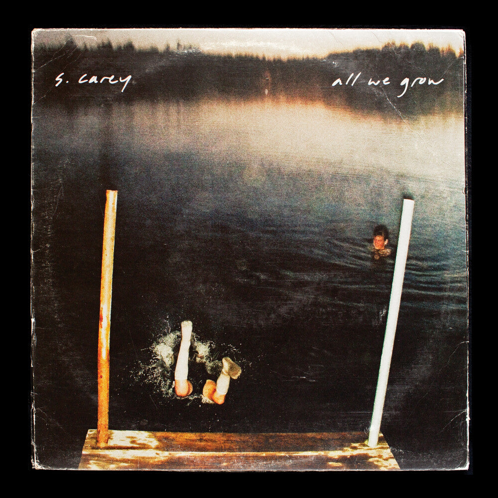 the album cover for S. Carey - S. Carey 'All We Grow (Ten Year Anniversary Edition) (Seaglass Wave Translucent Vinyl)