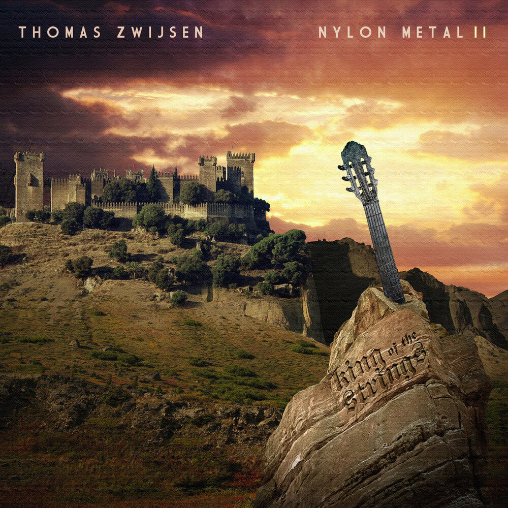 the album cover for Zwijsen, Thomas - Nylon Metal II