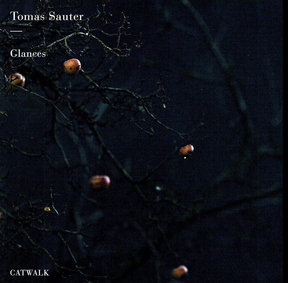the album cover for Sauter / Sauter - Glances
