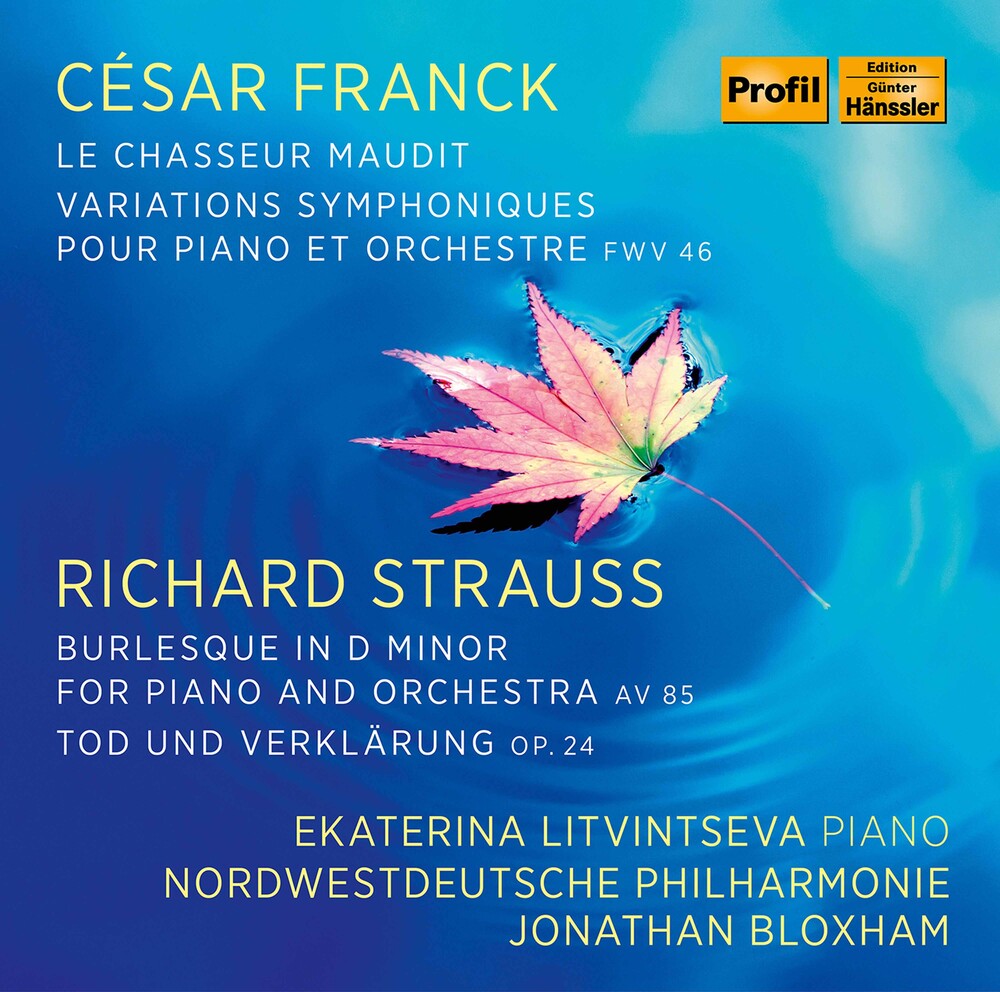 the album cover for Franck / Litvintseva / Bloxham - Ekaterina Litvintseva Plays